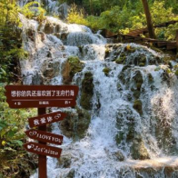 評論圖片 2