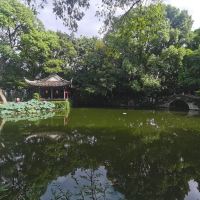 評論圖片 4