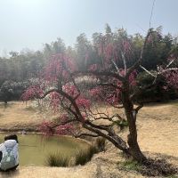 評論圖片 1