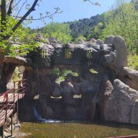 評論圖片 7