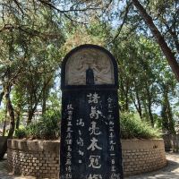 評論圖片 6