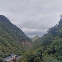 評論圖片 2