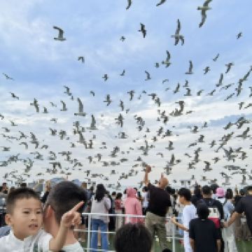 評論圖片 7
