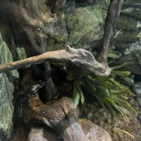 評論圖片 6