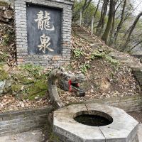 評論圖片 5