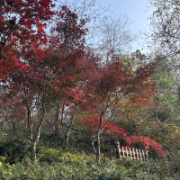 評論圖片 6