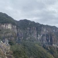 評論圖片 6