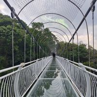 評論圖片 8