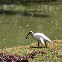 評論圖片 4