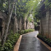 評論圖片 1