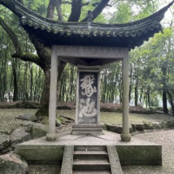 評論圖片 4