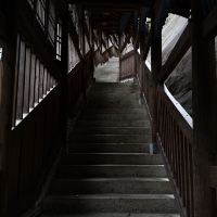評論圖片 9