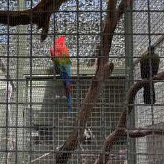 Zoo Aquarium de Madrid