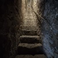 評論圖片 5