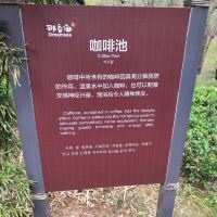 評論圖片 2