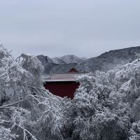 評論圖片 6