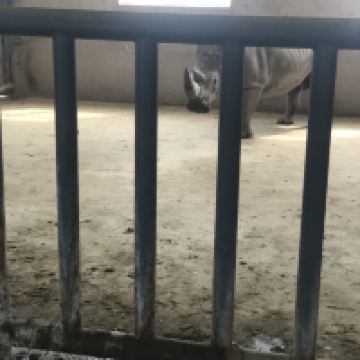 評論圖片 3
