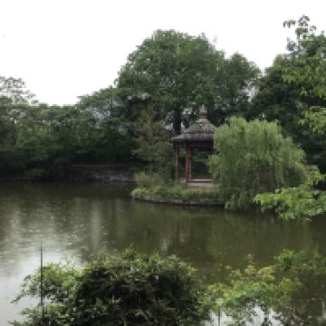 評論圖片 4