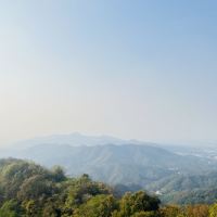 評論圖片 3
