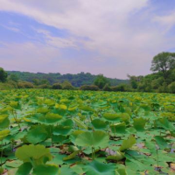 評論圖片 2