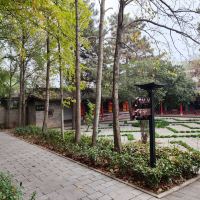 評論圖片 6