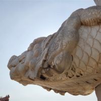 評論圖片 2