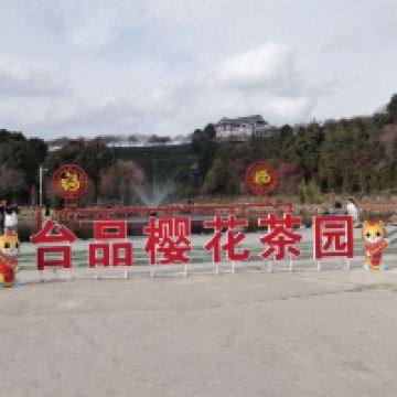 評論圖片 5