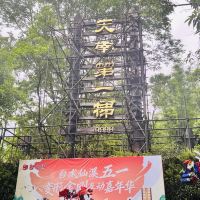 評論圖片 4