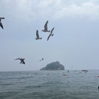 評論圖片 2