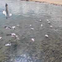 評論圖片 7