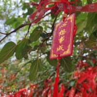 評論圖片 7