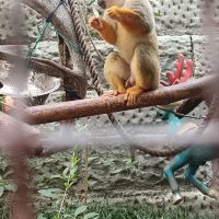 評論圖片 4