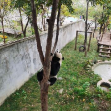 評論圖片 2