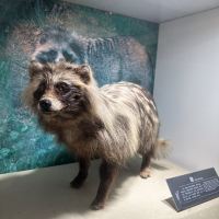 評論圖片 3
