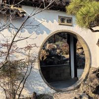 評論圖片 1