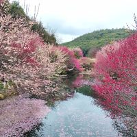 評論圖片 2