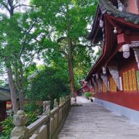 評論圖片 9
