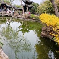 評論圖片 2
