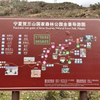 評論圖片 4
