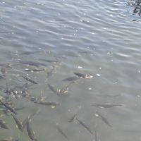 評論圖片 5