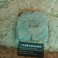 評論圖片 2