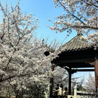 評論圖片 3