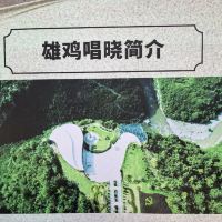 評論圖片 6