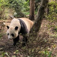 評論圖片 8