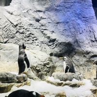評論圖片 4