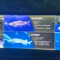 評論圖片 1