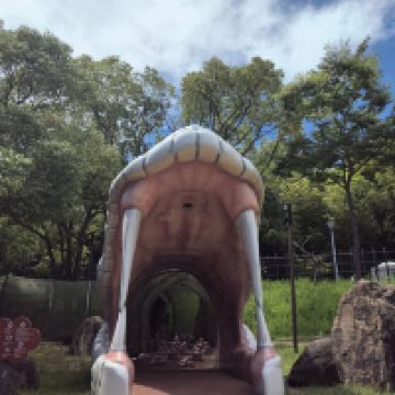 評論圖片 7