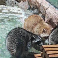 評論圖片 7