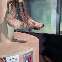 評論圖片 4