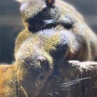 評論圖片 3